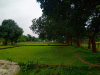 জমি বিক্রয় করা হবে